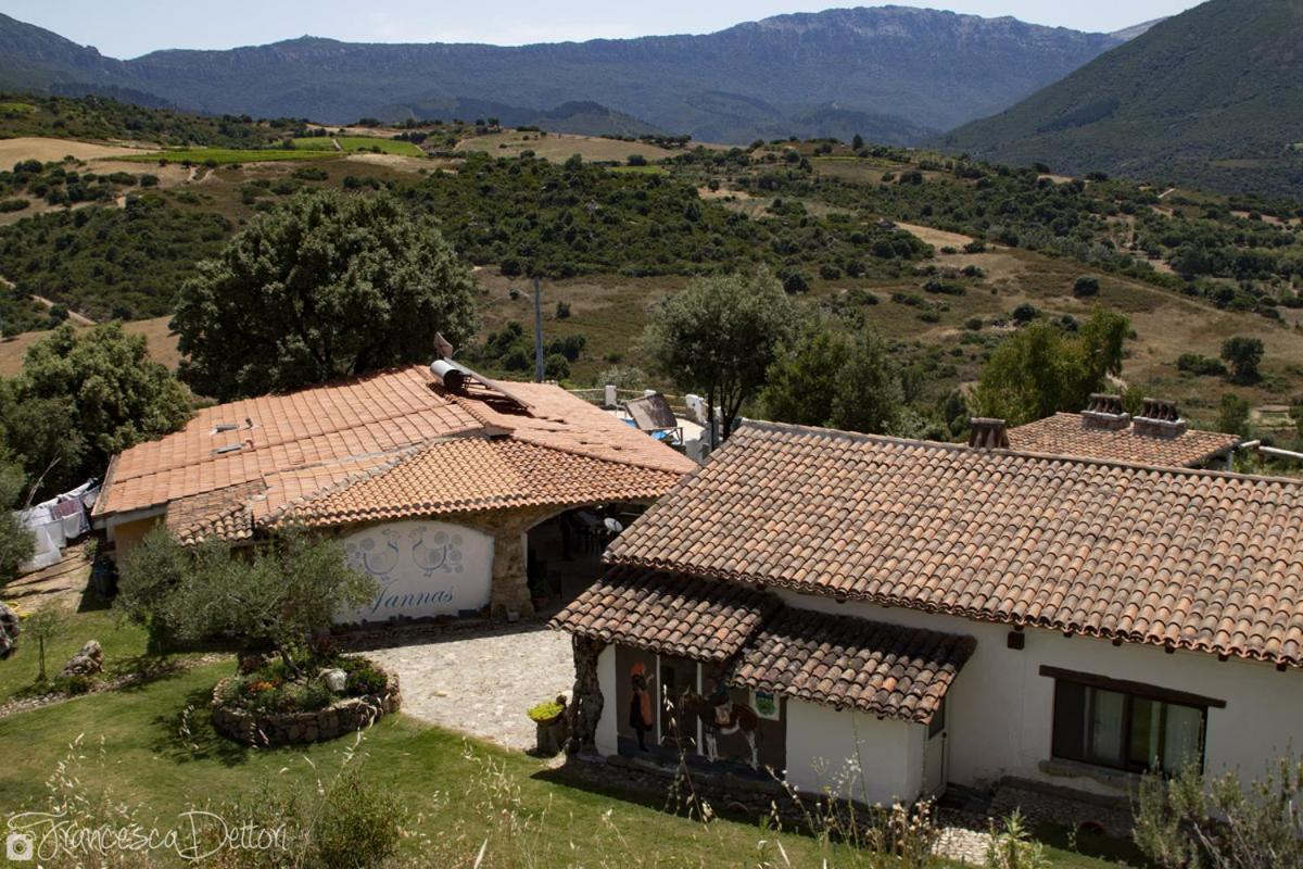 Jannas Hotel Orgosolo Bagian luar foto